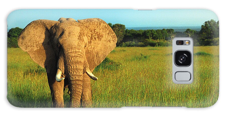 Africa Galaxy Case featuring the photograph Elephant by Sebastian Musial