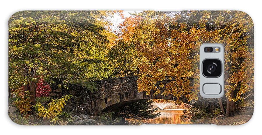 Bridge Galaxy Case featuring the photograph Elizabeth Park Bridge in Autumn by Lorraine Cosgrove