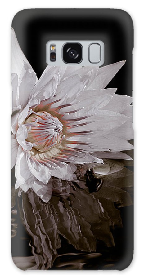 Water Lily Galaxy Case featuring the photograph Elizabeth's Lily by Trish Tritz