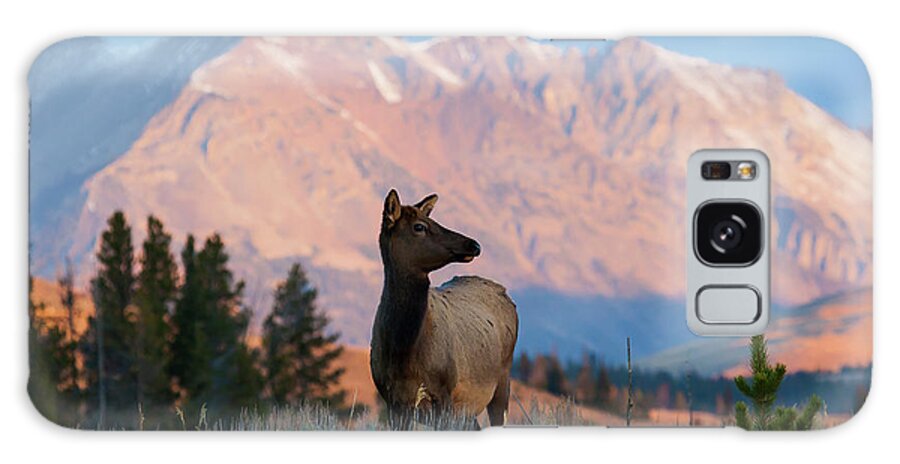 Elk Galaxy Case featuring the photograph Elk Majesty by Mark Miller