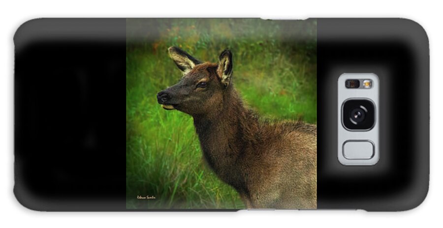Elk Galaxy Case featuring the photograph Elk of Benezette by Rebecca Samler