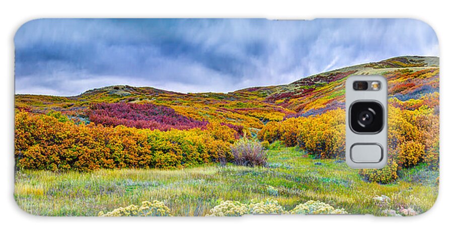 Fall Color Galaxy Case featuring the photograph Emigration Canyon by Michael Ash