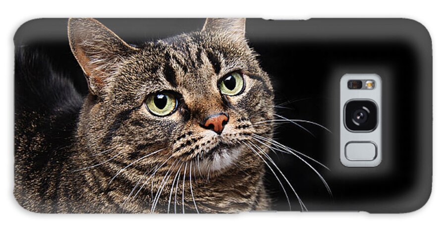 Fine Art Cat Galaxy Case featuring the photograph Emmy The Cat Ponder by Andee Design