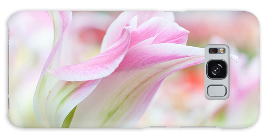 Tulip Galaxy Case featuring the photograph Emollient Lightness. Tulips of Keukenhof by Jenny Rainbow