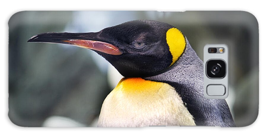 Birds Galaxy S8 Case featuring the photograph Emperor Penguin by Kym Clarke