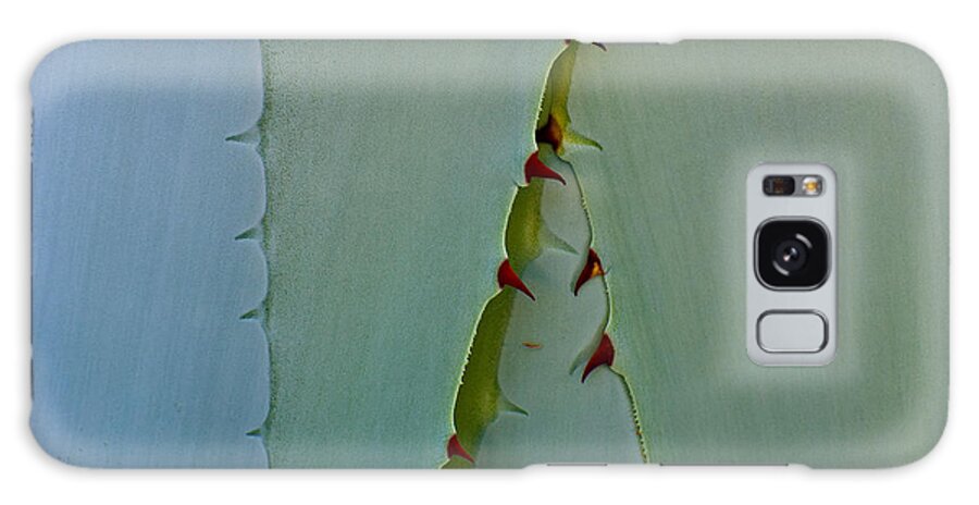 Cactus Galaxy Case featuring the photograph Encinitas Century by Windy Osborn