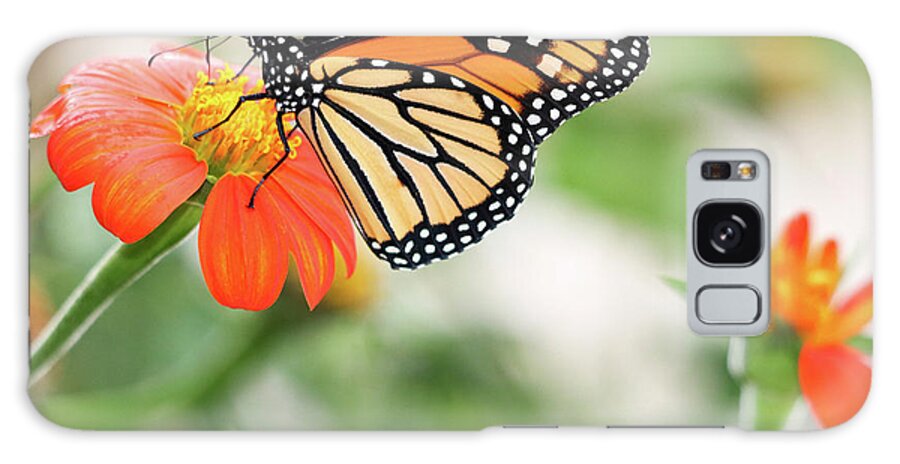Butterfly Galaxy Case featuring the photograph End of Summer Flight by Mary Anne Delgado