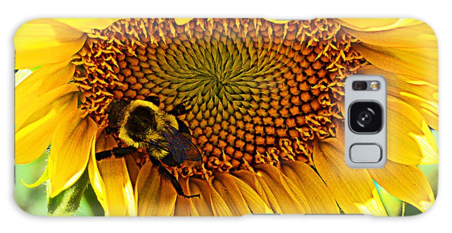Sunflower Galaxy Case featuring the photograph End of Summer by Kathy Kelly