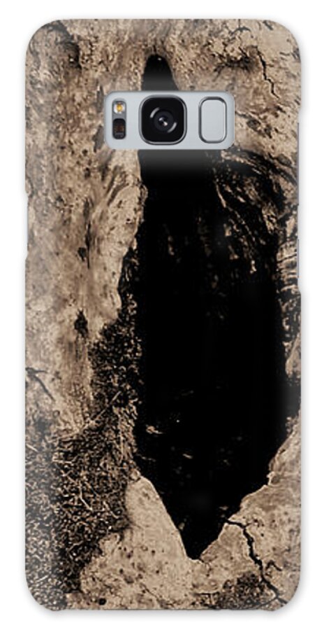 Farmboyzim Galaxy Case featuring the photograph Entrance to... by Harold Zimmer