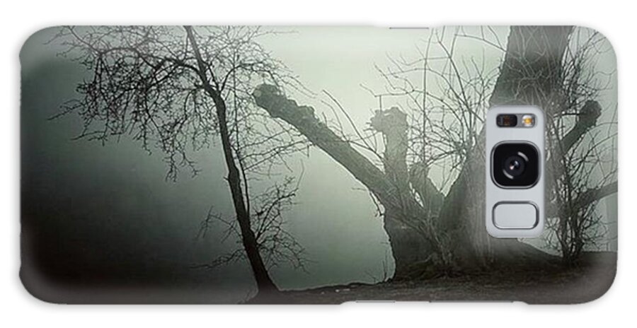 Trees Galaxy Case featuring the photograph Erster Nebel Des Neuen Jahres / First by Norman Wnuck
