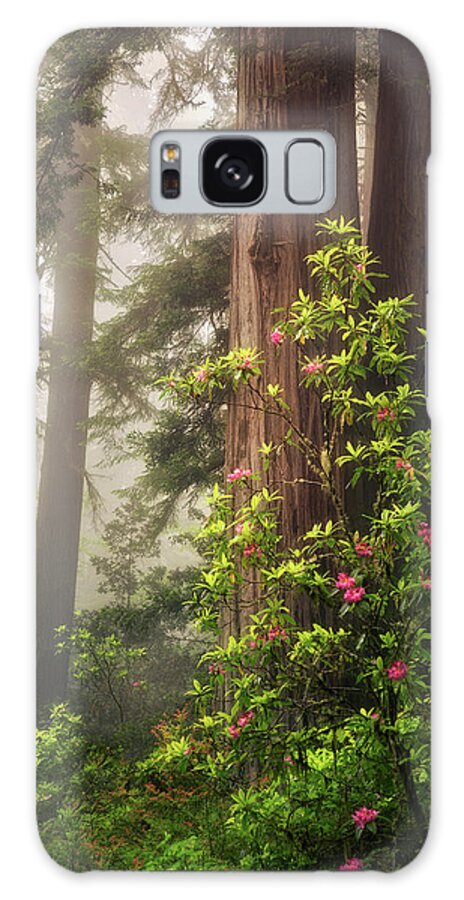 California Galaxy Case featuring the photograph Ethereal by Nicki Frates
