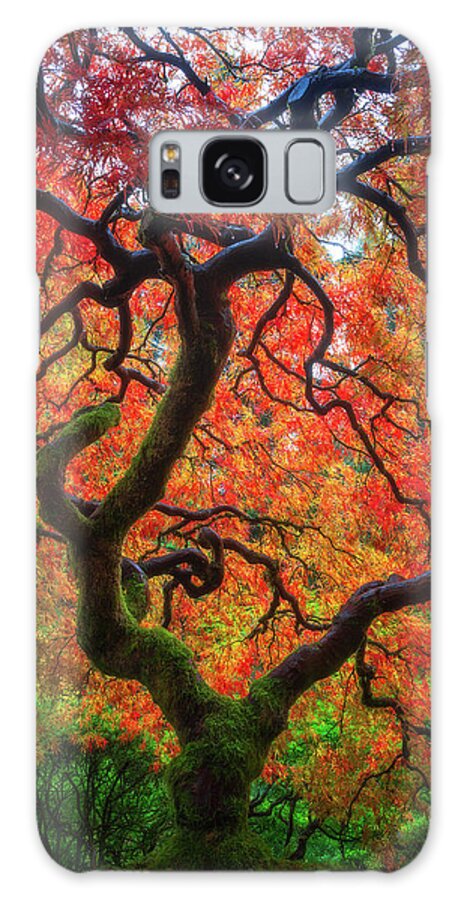 Trees Galaxy S8 Case featuring the photograph Ethereal Tree Alive by Darren White