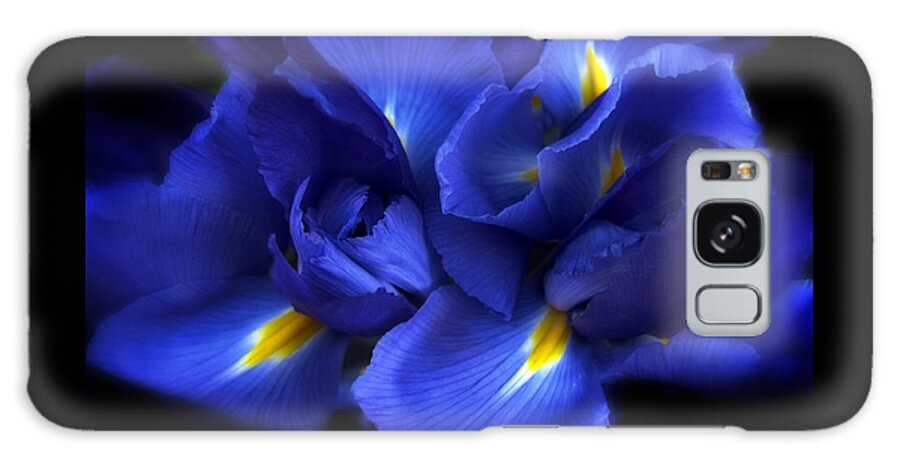 Iris Galaxy Case featuring the photograph Evening Iris by Jessica Jenney
