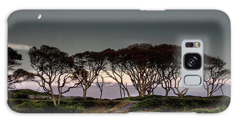 Fort Fisher Trees Print Galaxy Case featuring the photograph Dusk at Fort Fisher by Phil Mancuso