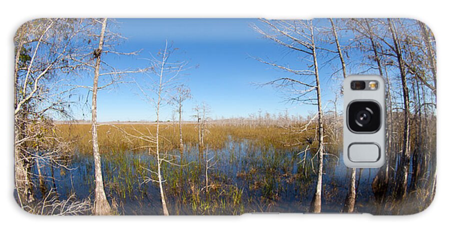 Everglades National Park Galaxy Case featuring the photograph Everglades 85 by Michael Fryd