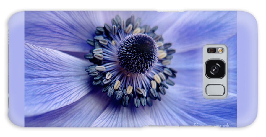 706 Galaxy Case featuring the photograph Expressive Blue and Purple Floral Macro Photo 706 by Ricardos Creations