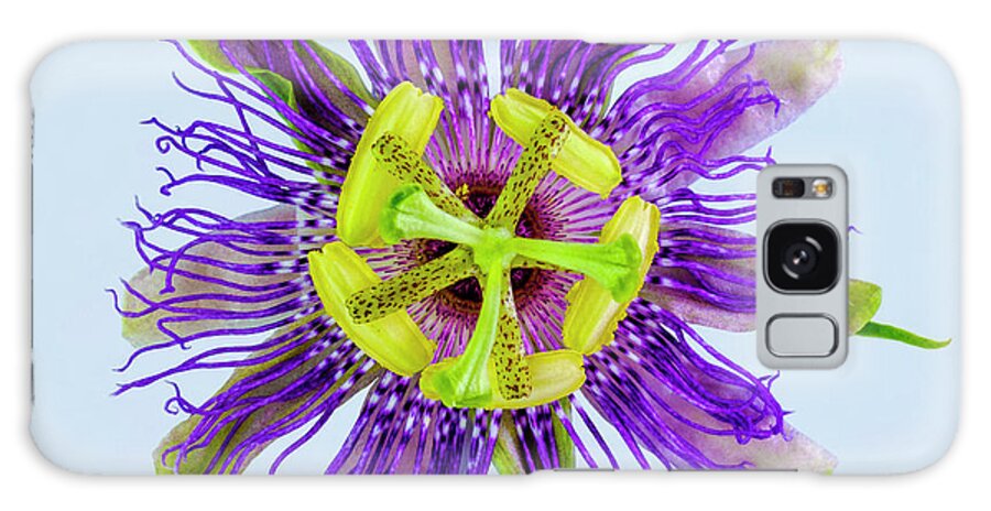 Expressive Galaxy Case featuring the photograph Expressive Yellow Green and Violet Passion Flower 50674B by Ricardos Creations