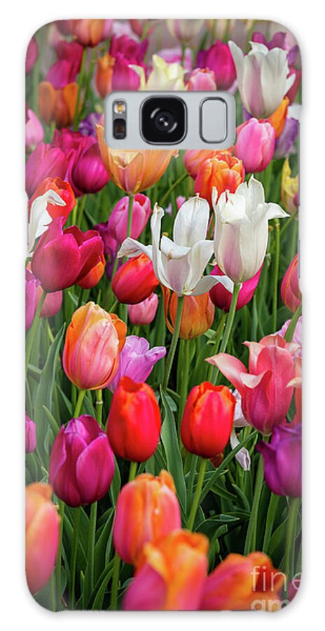 Tulip Galaxy Case featuring the photograph Eye Candy by Charles Hite