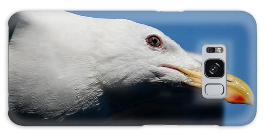 Seagull Galaxy Case featuring the photograph Eye of a Seagull by Sumoflam Photography