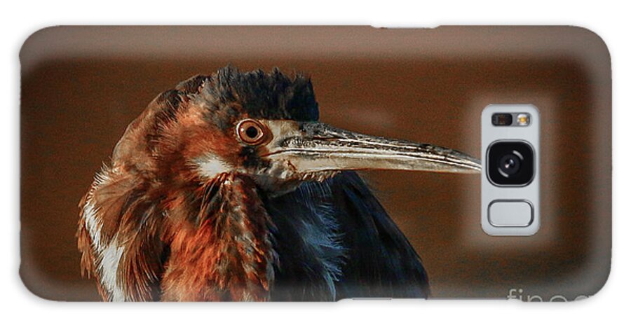 Heron Galaxy Case featuring the photograph Eye to Eye with Heron by Tom Claud