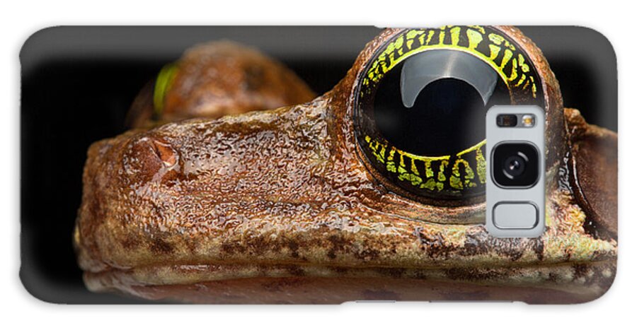 Frog Eye Galaxy Case featuring the photograph Eye Tropical Tree Frog by Dirk Ercken