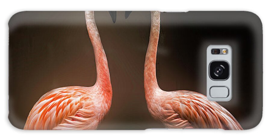 Flamingos Galaxy S8 Case featuring the photograph Face Off by Cheryl Frischkorn