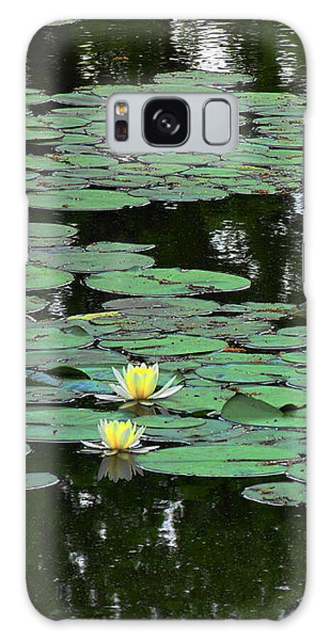 #water Lily #philadelphia #fairmount Park #flower #still Life #water #pond #lily Pond Photo Galaxy Case featuring the photograph Fairmount Park lily pond by Daun Soden-Greene