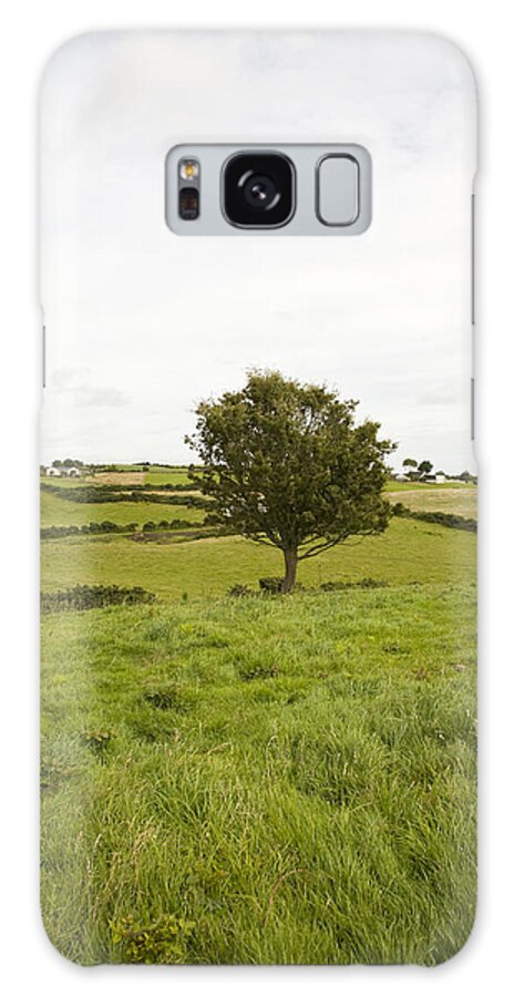 Green Galaxy Case featuring the photograph Fairy tree in Ireland by Ian Middleton