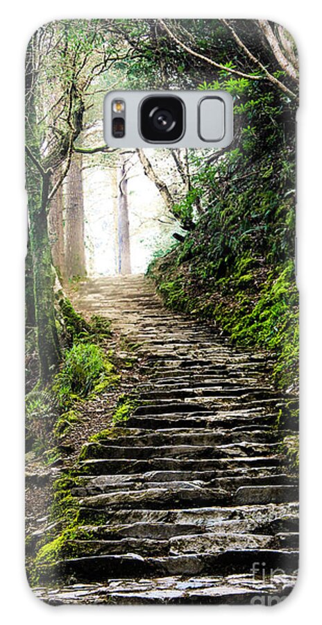 Stairs Galaxy Case featuring the photograph Fairytale Stairs by Amy Sorvillo