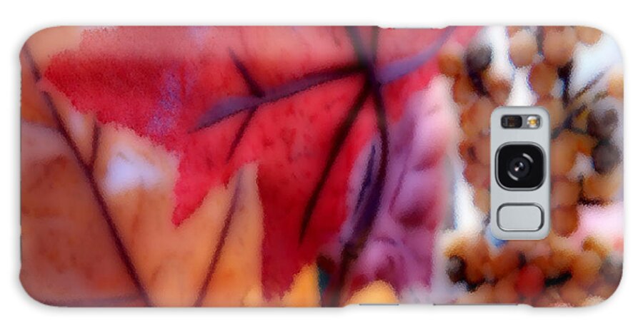 Art Galaxy Case featuring the photograph Fall Colors # 6059 by Barbara Tristan