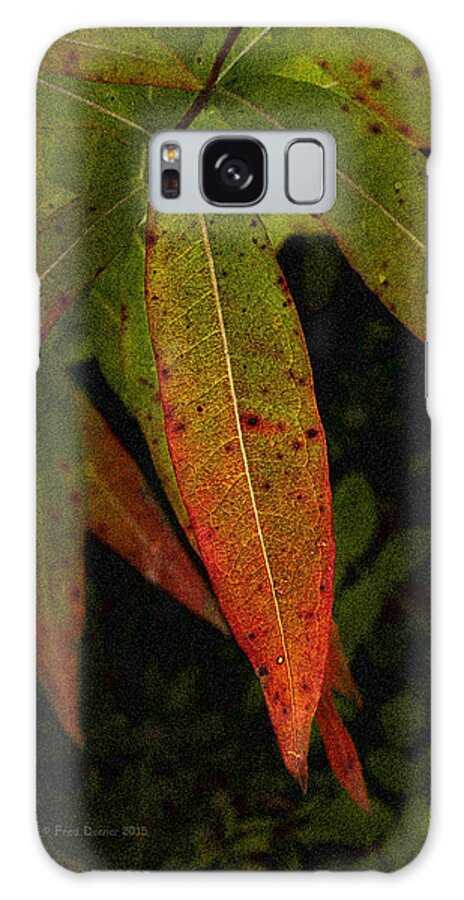 Wildflower Galaxy Case featuring the photograph Fall Fireweed 1 by Fred Denner