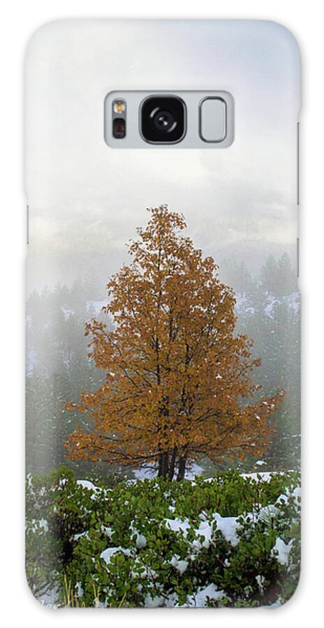 Winter Galaxy S8 Case featuring the photograph Fall Greets Winter by Steph Gabler