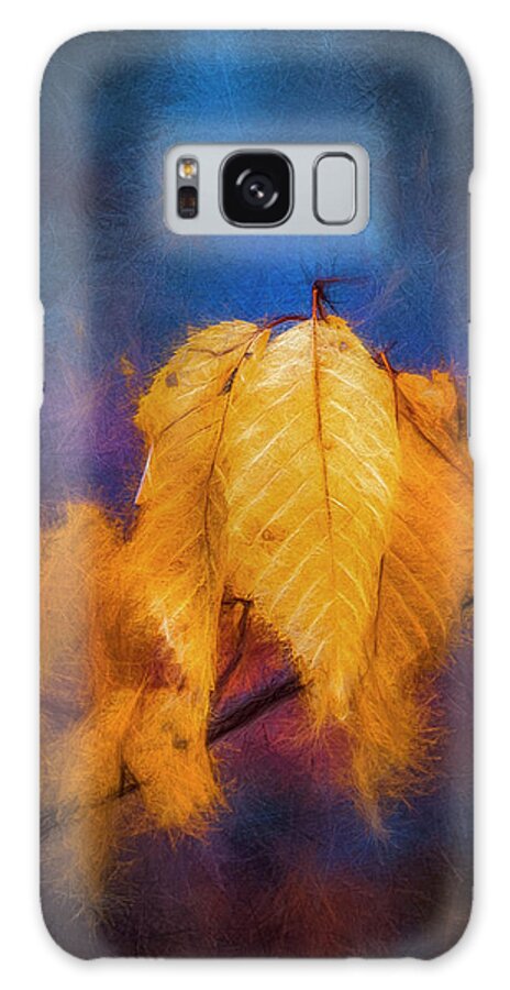Fall Galaxy Case featuring the digital art Fall Leaves by Celso Bressan
