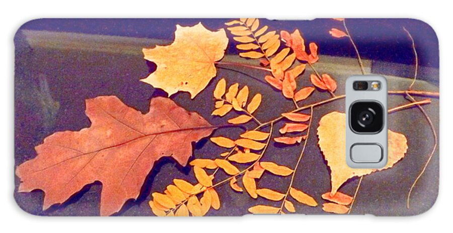 Fall Leaves On Granite Counter... Warm And Cool Tones Galaxy Case featuring the digital art Fall leaves on granite counter by Annie Gibbons