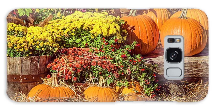 Pumpkins Galaxy Case featuring the photograph Fall Pumpkins by Carolyn Marshall