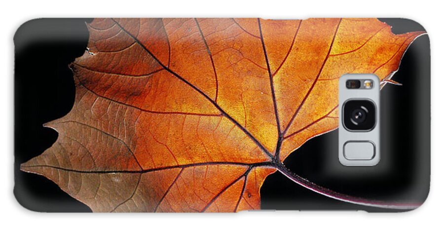 Leaf Galaxy Case featuring the photograph Fall by Robert Och