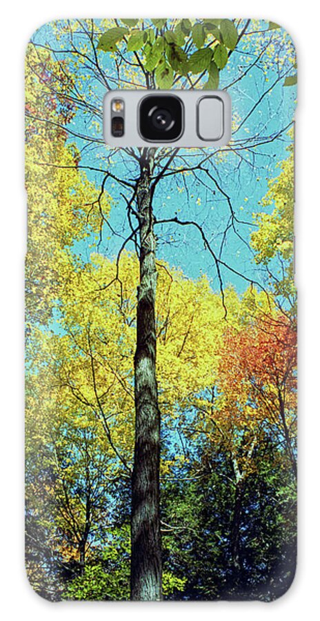 Fall Galaxy Case featuring the photograph Fall Trees by Doolittle Photography and Art