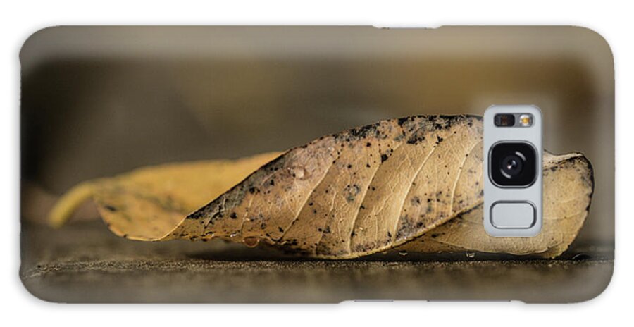 Leaf Galaxy Case featuring the photograph Fallen Leaf by Hyuntae Kim