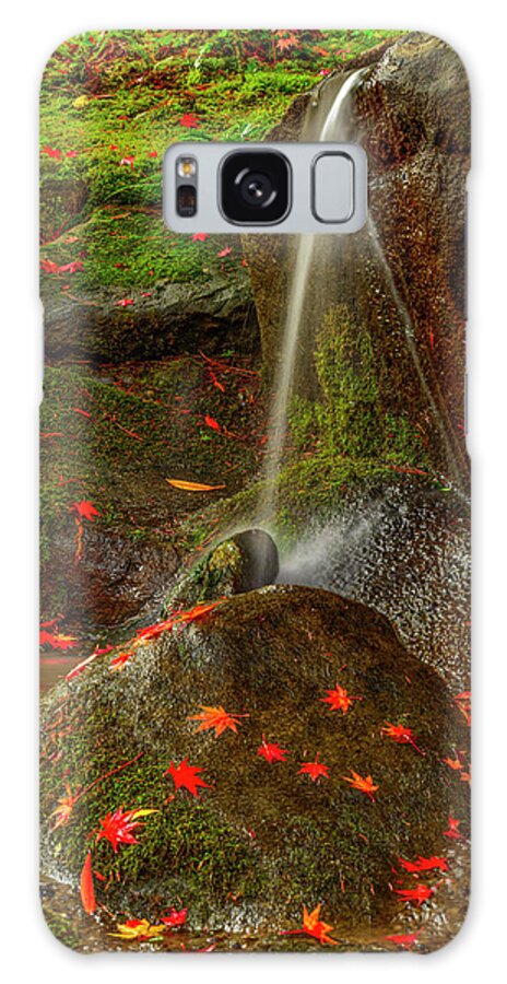 Water Fall Galaxy S8 Case featuring the digital art Falls in Seattle Japanese Garden by Michael Lee