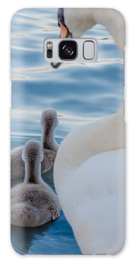 Swan Galaxy Case featuring the photograph Family Idyll by Andreas Berthold