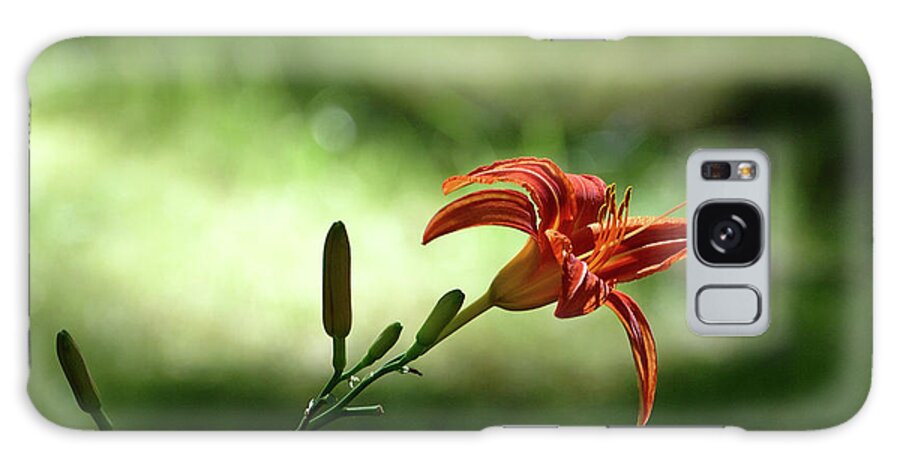 Lilly Galaxy S8 Case featuring the photograph Farmington Lilies 2 by Edward Sobuta