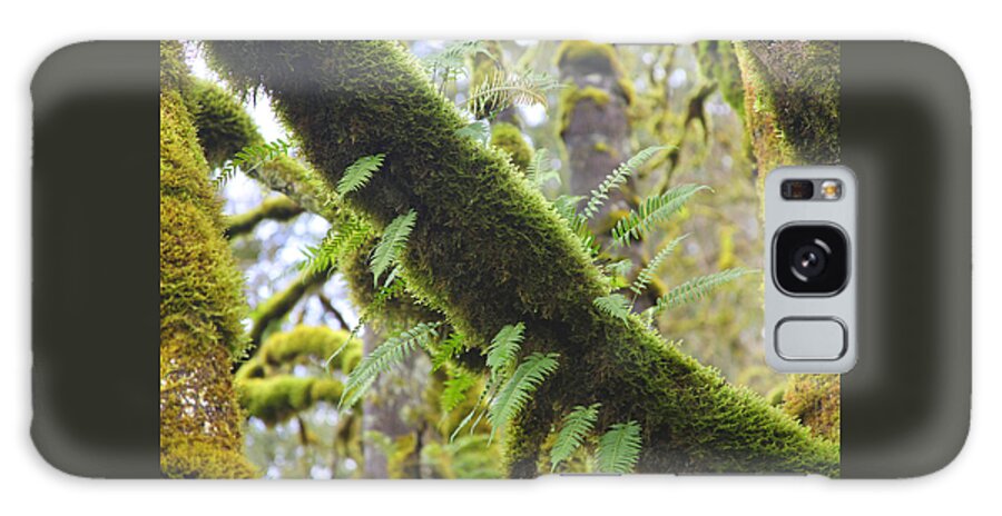 Moss Galaxy Case featuring the photograph Feathered Moss by Tammy Pool