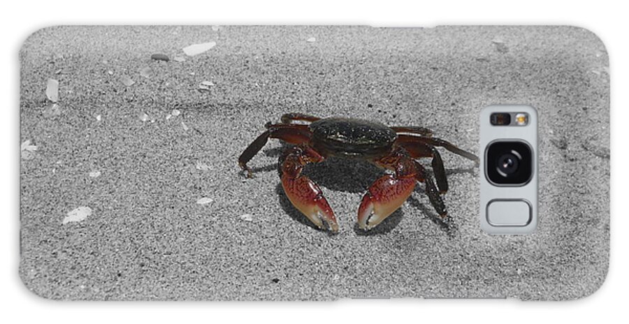 Digitally Enhanced Photograph Galaxy Case featuring the photograph Feeling Crabby by Colleen Cornelius