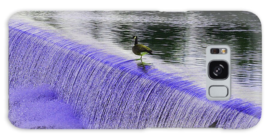 Geese Galaxy Case featuring the photograph Female Geese 05 by Kip Vidrine