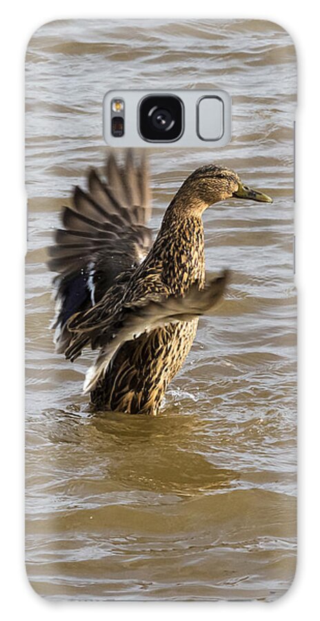 Jan Holden Galaxy Case featuring the photograph Female Mallard by Holden The Moment