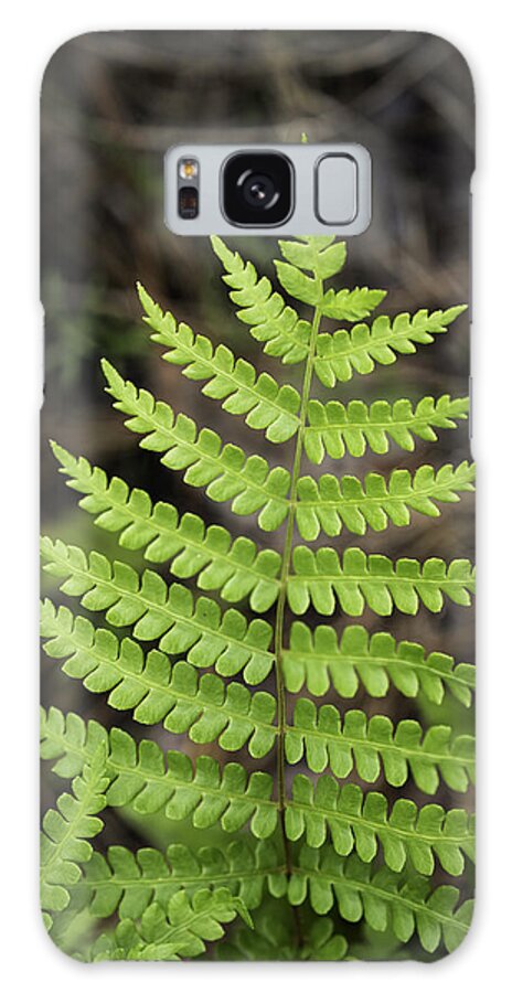 Fern Frond Galaxy Case featuring the photograph Fern Fron 01 by Jim Dollar