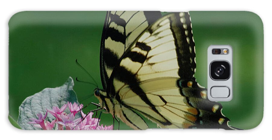 Butterfly Galaxy Case featuring the photograph Festive day by Bess Carter
