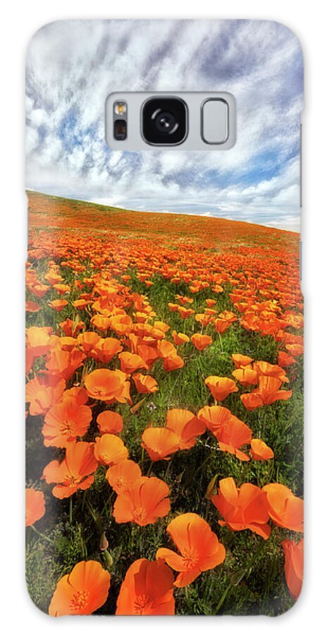 Antelope Valley Galaxy Case featuring the photograph Field of Flowers by Nicki Frates