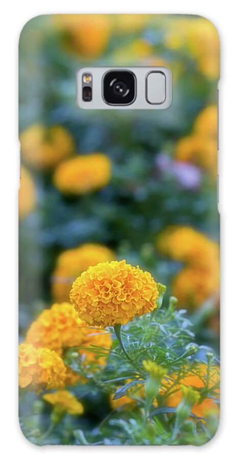 Dahlia Galaxy S8 Case featuring the photograph Field of Gold by Jade Moon