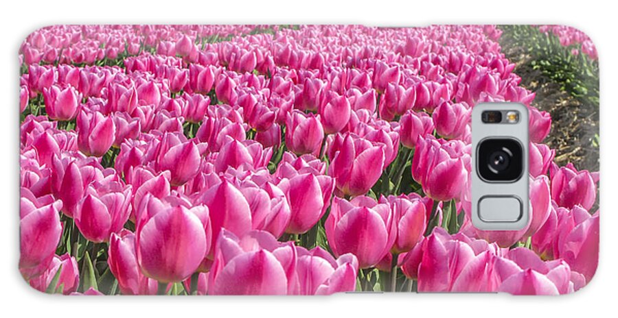 Tulips Galaxy Case featuring the photograph Field with pink tulips by Patricia Hofmeester